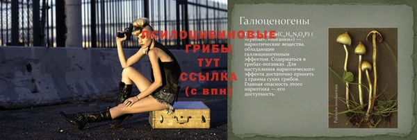 шишки Киреевск