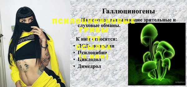 шишки Киреевск