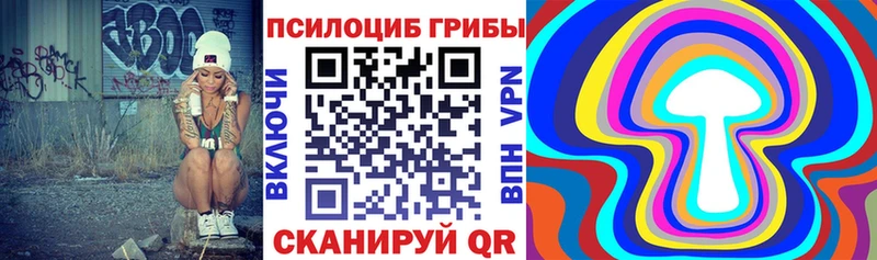 Галлюциногенные грибы Magic Shrooms  Купить закладки  Качканар 